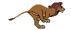 Gif animé lion court